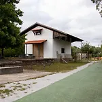 Ninho D'arara 3*