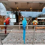 Ninho D'arara Alojamento de Acomodação e Pequeno-almoço