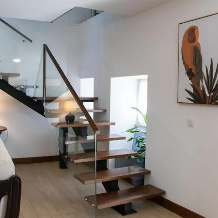 Bed & Breakfast Ninho D'arara Tondela