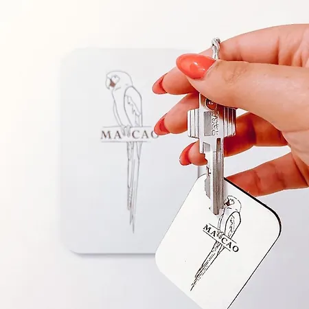 Alojamento de Acomodação e Pequeno-almoço Ninho D'arara Tondela