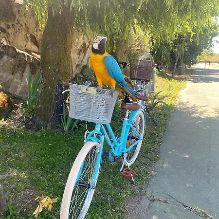 Ninho D'arara Bed & Breakfast 3*