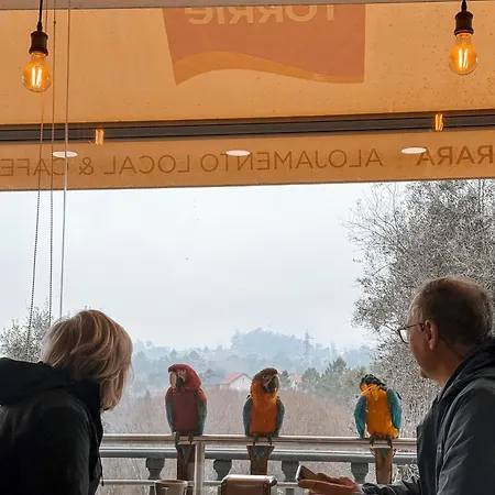 Ninho D'arara לינה וארוחת בוקר *