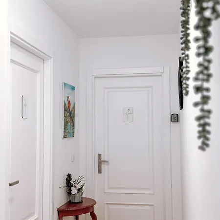 Ninho D'arara Tondela