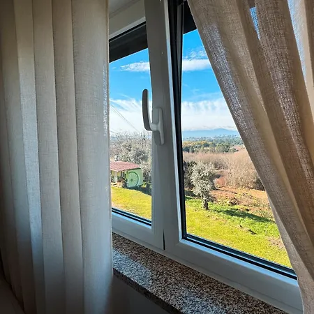 Bed & Breakfast Ninho D'arara
