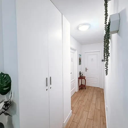 Ninho D'arara Bed & Breakfast Tondela