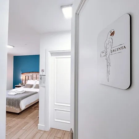 Ninho D'arara Tondela