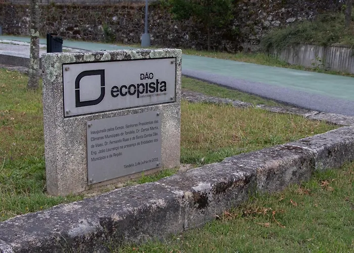 Ninho D'arara 톤델라