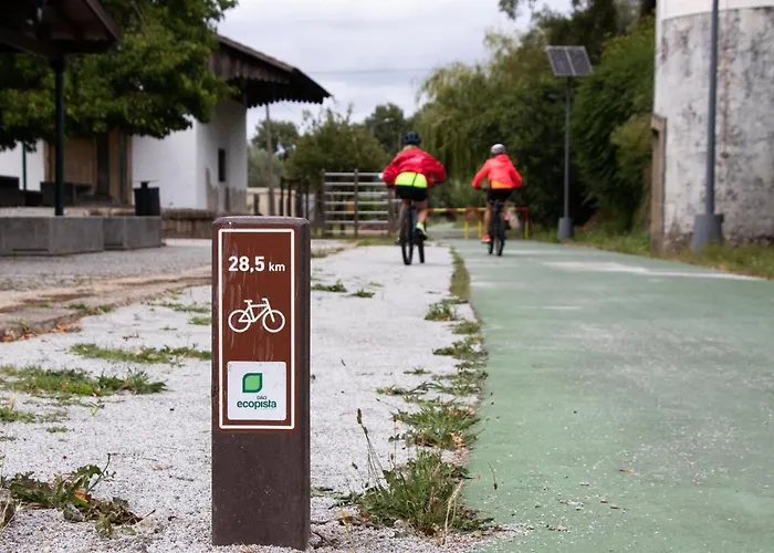 Ninho D'arara Bed & Breakfast Tondela