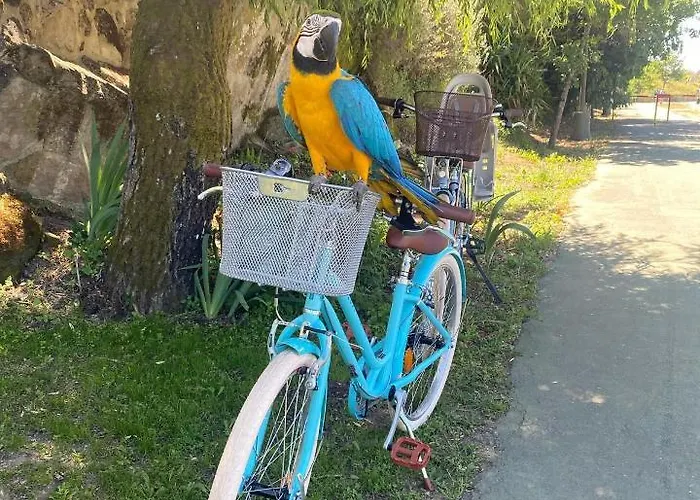 Ninho D'arara B&B 3*