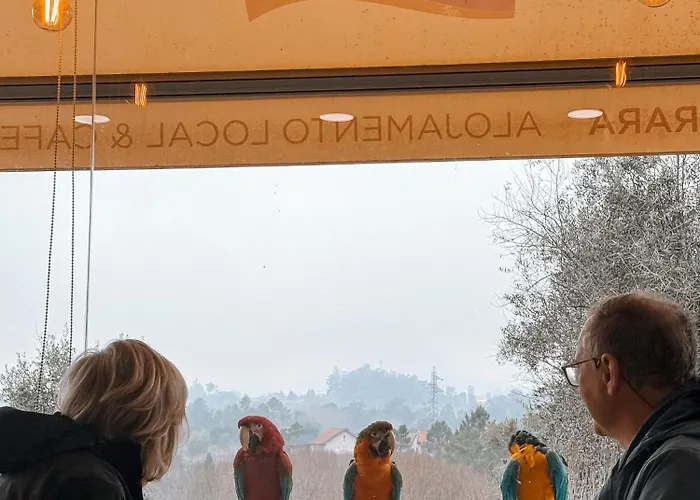 Ninho D'arara B&B 3*