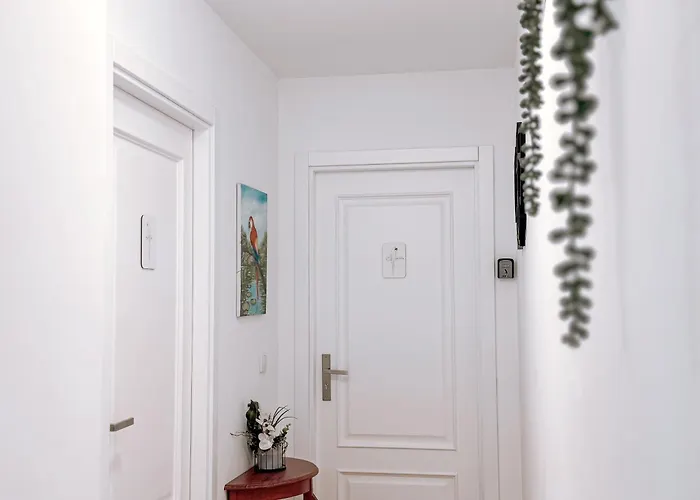 Ninho D'arara 톤델라