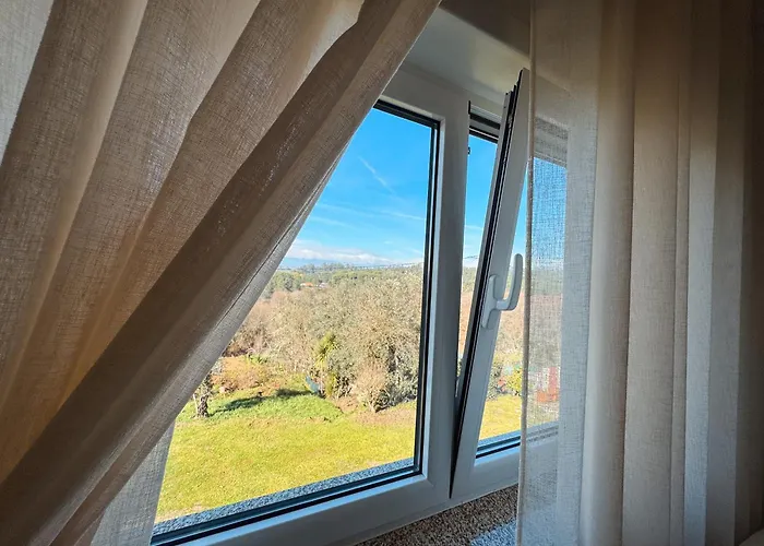 Ninho D'arara 톤델라